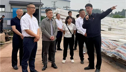 興業(yè)集團黨委開展“黨建引領(lǐng)聚合力 攻堅克難顯擔當”主題黨日暨現(xiàn)場教學(xué)活動