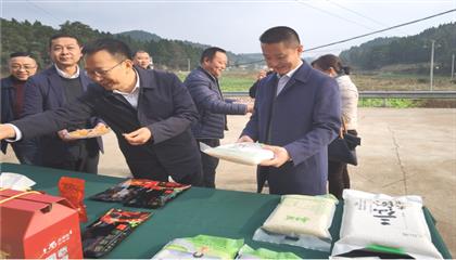 市委常委、政法委書記劉波濤帶隊調(diào)研指導(dǎo)定點幫扶村鄉(xiāng)村振興工作